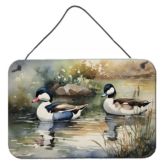 Bufflehead Aluminum Art Prints