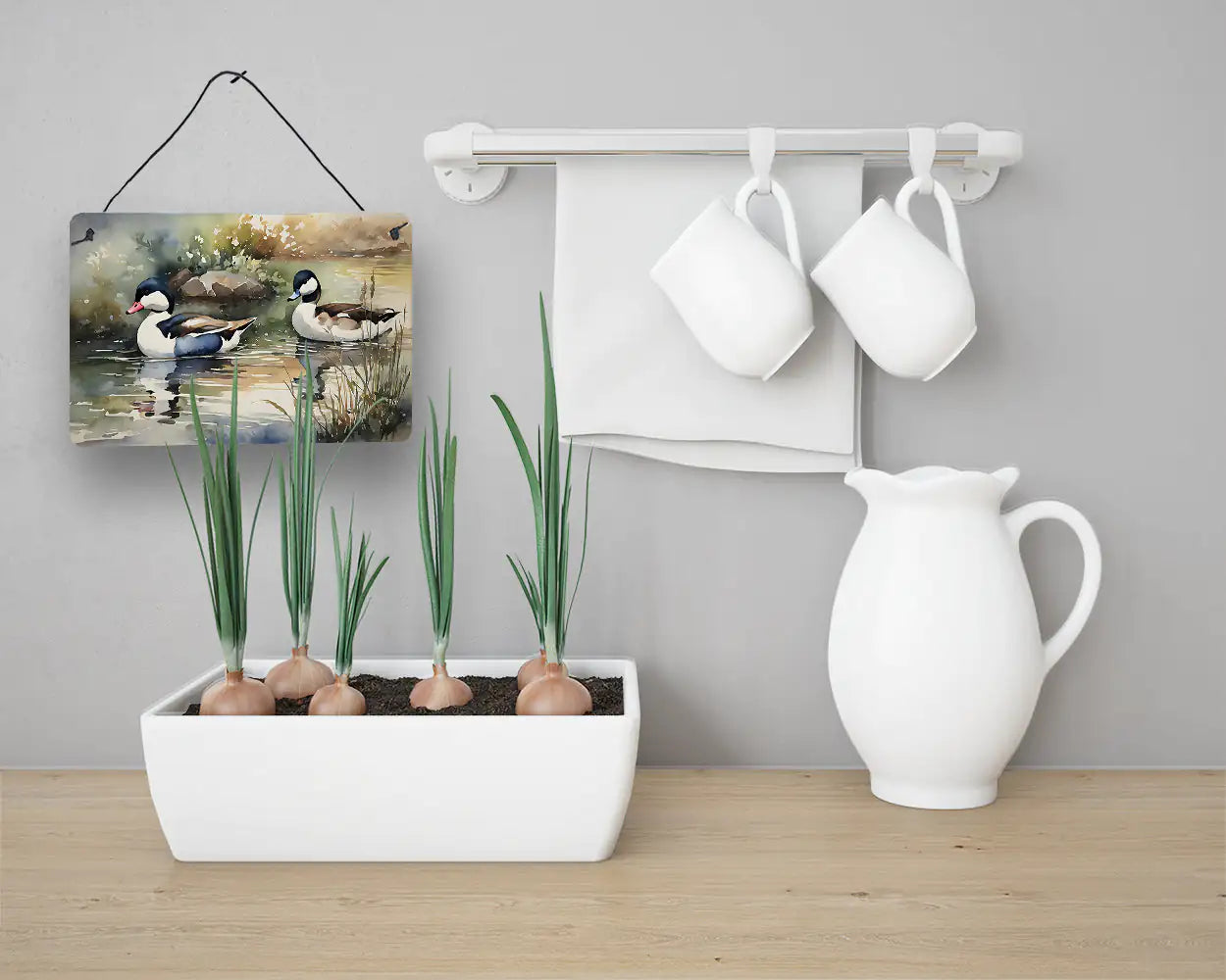 Bufflehead Aluminum Art Prints